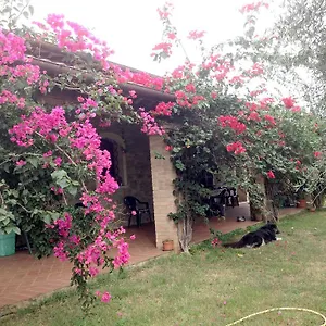 Casa Santina Ferienhaus